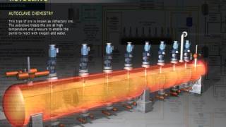 PAI Autoclave Circuit Training [upl. by Cox]