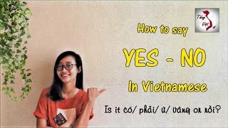 Learn Vietnamese with TVO  YESNO in Vietnamese [upl. by Jahdal]