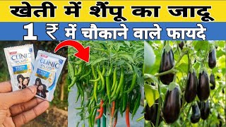 फसलों और सब्जियों में 1₹ की शैंपू के चौकाने वाले फायदे 😱  fasal me shampoo ke fayde [upl. by Andrus]