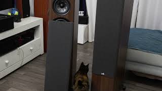 POLK RESERVE R700 TOWER SPEAKERS  UNBOXING [upl. by Nimajneb]