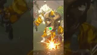 Zelda BotW  Gold Lynel Very Easy Kill shorts speedrun botw [upl. by Adnoel]