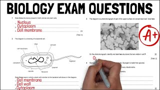 Biology PAST PAPER EXAM QUESTIONS Unit 1 Revision  A Grade  KS4 Science  IGCSE Biology [upl. by Ithaman292]