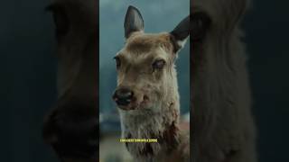 Zombie Deer DiseaseCWD sciencesciencefacts zombieshorts [upl. by Reggis823]