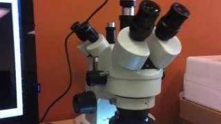 Microscope Expert  Opening Trinocular Port on Stereo Microscope for Microscope Camera [upl. by Odom]