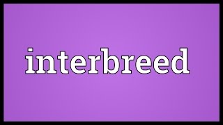 Interbreed Meaning [upl. by Benia]