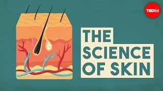 The science of skin  Emma Bryce [upl. by Noicnecsa]