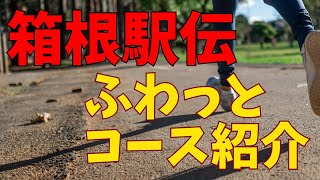 箱根駅伝コースをふわっと紹介 往路復路 [upl. by Curtice]