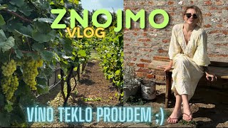 Znojmovlog  jak jsme se opili vínem a poznávali Znojmo a okolí [upl. by Wake]