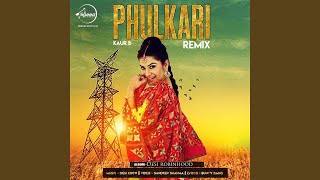 Phulkari Remix [upl. by Suoiluj427]