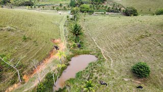 sitio 21 hectares escritura em Tamandaré PE sercado casa sede porteira fechada 11 bois 800 mil [upl. by Ardis]