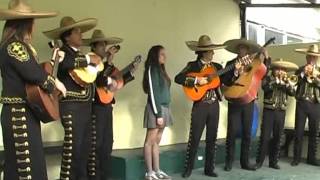 LOS MARIACHIS FERNANDEZ LE CANTAN A ROMINA EN SU CUMPLE [upl. by Nanoc571]