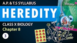 Class 10 heredity and evolution in Telugu 10th Biology Chapter 8  AP amp TS Syllabus  Part3 [upl. by Cassondra]