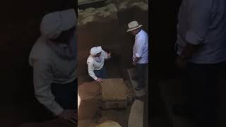 trailer El secreto arcano de las cuevas de Ajanta y Ellora shorts history [upl. by Elvie794]