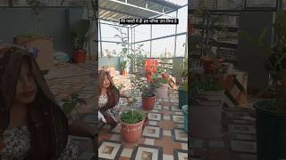 Mahlo ki Rani dukh se begani ☺️shorts song viralvideo Geetadevi0095 ❣️ [upl. by Wojak817]