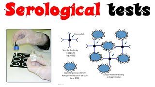 Serological tests [upl. by Inanaup]