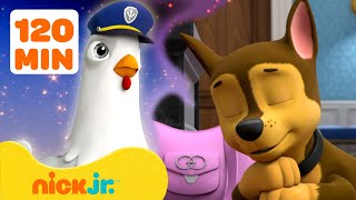 PAW Patrol Pups Have Weird Dreams 2 w Chase amp Chickaletta  2 Hours  Nick Jr [upl. by Zeuqram]