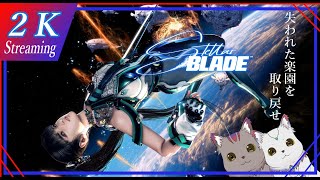 【ステラブレイド 2周目】兄弟の『Stellar Blade ステラーブレイド』2周目実況Part4 ※ネタバレあり [upl. by Matta]