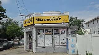 Jamaica Queens in New York City  Driving Around Baisley Pond Park Watch a Cricket Game [upl. by Emelina890]