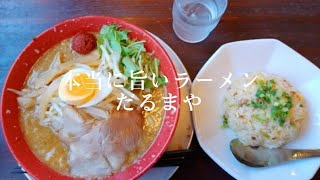 【本当に旨い店】新潟の旨いラーメン屋🌟🌟🌟厳選 新潟市 だるまや 40代独身一人旅 [upl. by Devehcoy357]