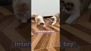 Interactive cat toy Link is on bio or copywwwniopetscom [upl. by Auqemahs]