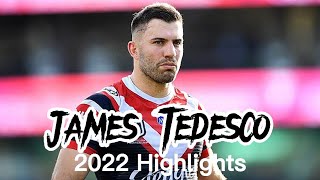 James Tedesco 2022 Season Highlights [upl. by Marcello]