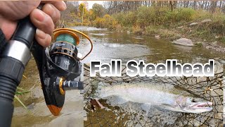 Fall Steelhead Run around Ontario Fishing fishingvideo Oct 2023 [upl. by Chadd]