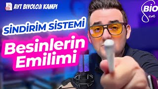 Sindirim Sistemi4 Besinlerin Emilimi ve Hastalıklar  Ayt Biyoloji Konu Anlatımı 11 Sınıf  2024 [upl. by Ecirted]