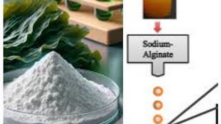 How to prepare sodium aliginate beads cross linked with biochar in the laboratory [upl. by Tap684]