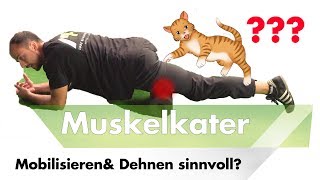 Mobilisierenamp Dehnen mit Muskelkater  Ist das sinnvoll [upl. by Ecela]