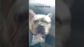 the mimi songmy dog [upl. by Emiaj]