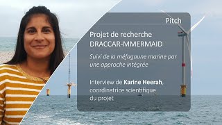 Suivre la mégafaune marine dans un contexte éolien en mer  Pitch projet DRACCARMMERMAID [upl. by Ofelia]