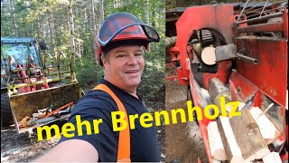 Laubholzpflege und Brennholz [upl. by Payne]