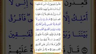 4906th video vertical  Quran Page 112  Saad AlGhamdi quran shorts holyquran recitation [upl. by Lilli]