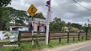 🇱🇰 Passing Galgamuwa Railway Station travel train railwaystation srilanka [upl. by Kcir327]