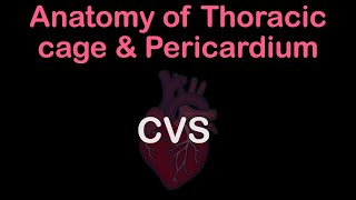 Anatomy of Thoracic cage and Pericardium [upl. by Egroej710]