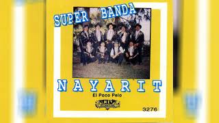 Super Banda Nayarit  El Papelero [upl. by Yhprum]