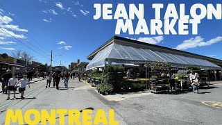 Montreal Jean Talon market  summer atmosphere in May [upl. by Neehahs]