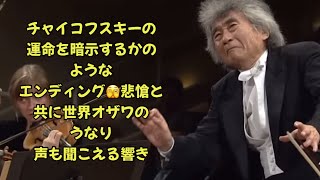 小澤征爾チャイコフスキー交響曲第6番『悲愴』ベルリン・フィルハーモニー管弦楽団Seiji Ozawa Tchaikovsky Sym No 6 quotPathétiquequot Berlin Phil [upl. by Asilav]