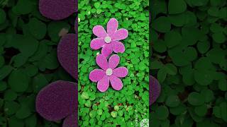 🌸🌸🌸 gllitter sheet flowers for you viralshort diyflower flowers [upl. by Ferdinand936]