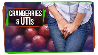 The Truth About Cranberry and UTIs [upl. by Jorin]