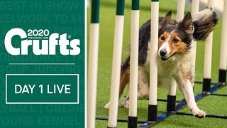 Day 1 Live  Crufts 2020 [upl. by Corri]