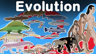 Awesome Human Evolution Timelapse [upl. by Ertha186]