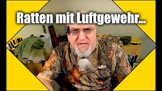 Luftgewehr Ratten im eigenen Garten erlegen [upl. by Trudnak]