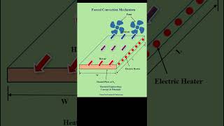 Forced Convection Process Mechanism heat heattransfer convectionheattransfer forced energy [upl. by Barrie]