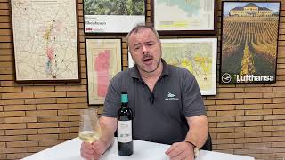 Wine Review Chateau Grand Village Bordeaux Blanc 2018 [upl. by Jacquetta]