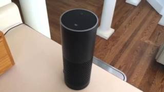 Amazon echo Alexa audible Great combo [upl. by Euqnimod]