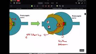 كيمياء صيدلانية عضوية Cholinergic Antagonist L4P1 [upl. by Eissolf]