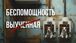 НЕВЫУЧЕННАЯ БЕСПОМОЩНОСТЬ 50 лет спустя [upl. by Pish]