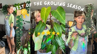 my plants that grew the MOST this summer 🌿🏆 with before  after [upl. by Twelve]