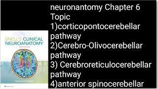 Cerebellum Afferent Fibers NeuroanatomymadeeasyneuroanatomyNeurosciencesAnatomy [upl. by Isied]